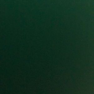 Meet your Posher, Ann